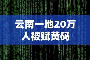 云南一地20万人被赋黄码