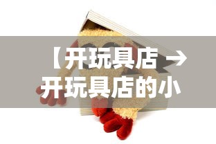 【开玩具店 → 开玩具店的小说】 【开玩具店 → 开玩具店的小说】