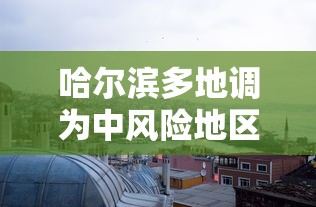 哈尔滨多地调为中风险地区（哈尔滨一地调为中风险）