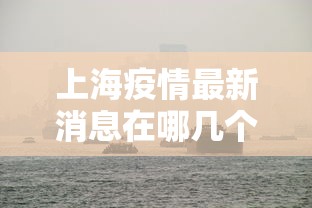 上海疫情最新消息在哪几个区 · 上海疫情详情分布