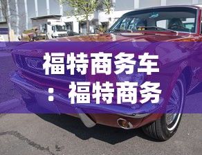 福特商务车:福特商务车7座途睿欧豪华版 福特商务车:福特商务车7座途睿欧豪华版