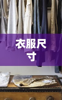 衣服尺寸
