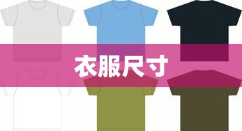 衣服尺寸 衣服尺寸