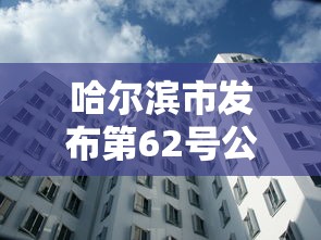 哈尔滨市发布第62号公告