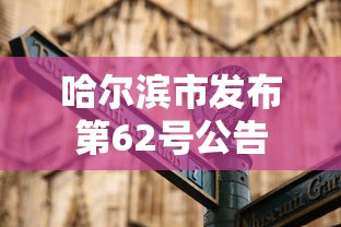 哈尔滨市发布第62号公告