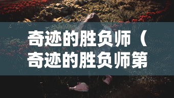 奇迹的胜负师（奇迹的胜负师第一期）