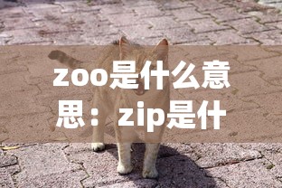 zoo是什么意思：zip是什么意思