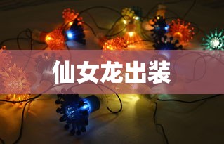 仙女龙出装