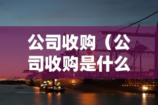 公司收购（公司收购是什么意思）