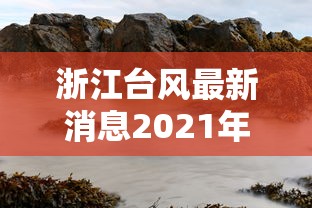 浙江台风最新消息2021年7月台风：浙江台风最新消息2021年7月台风图片