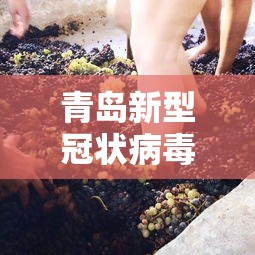 青岛新型冠状病毒（青岛新型冠状病毒肺炎）