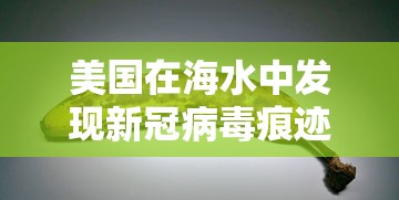 美国在海水中发现新冠病毒痕迹/美国在海水中发现新冠病毒痕迹多久消失