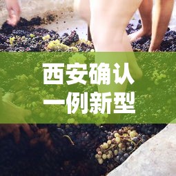 西安确认一例新型冠状病毒：西安确诊新型冠状
