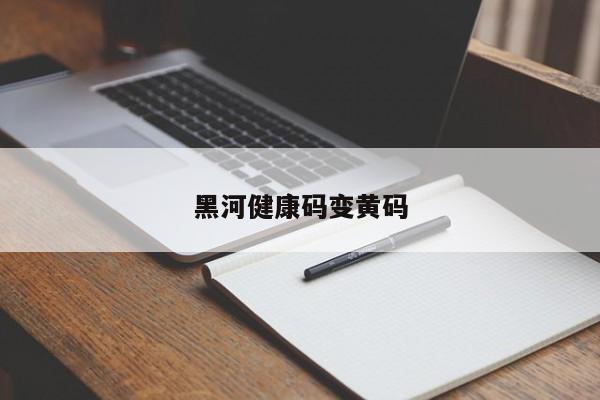 黑河健康码变黄码