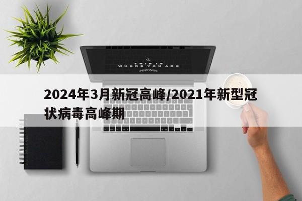 2024年3月新冠高峰/2021年新型冠状病毒高峰期