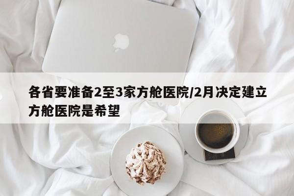 各省要准备2至3家方舱医院/2月决定建立方舱医院是希望