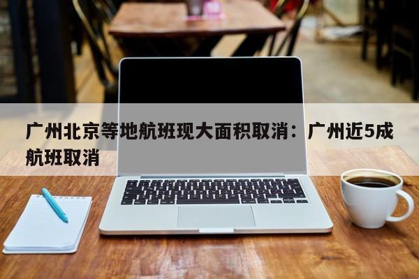 广州北京等地航班现大面积取消:广州近5成航班取消