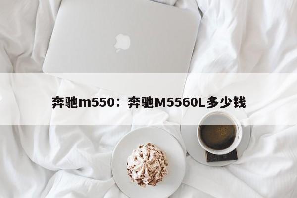 奔驰m550:奔驰M5560L多少钱