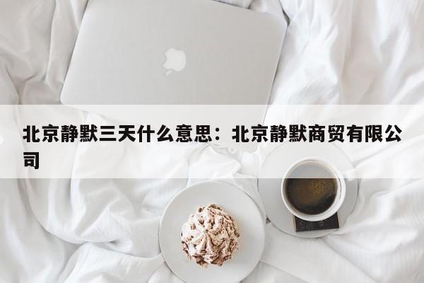 北京静默三天什么意思:北京静默商贸有限公司