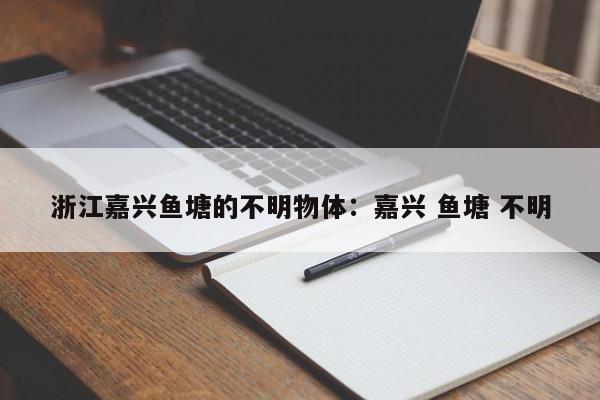 浙江嘉兴鱼塘的不明物体：嘉兴 鱼塘 不明