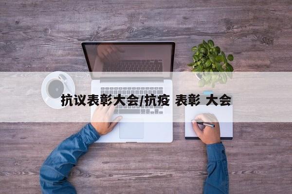 抗议表彰大会/抗疫 表彰 大会