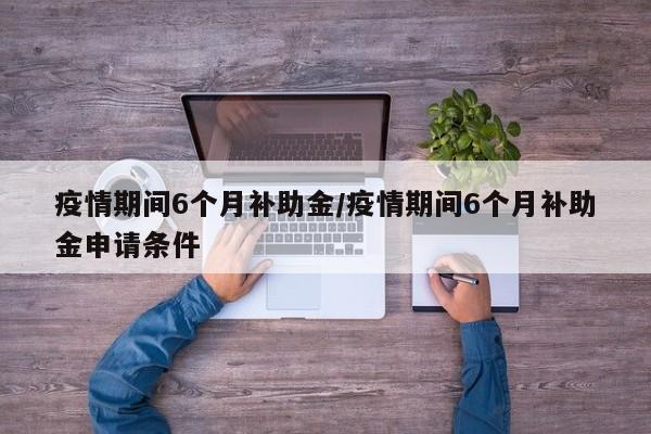 疫情期间6个月补助金/疫情期间6个月补助金申请条件