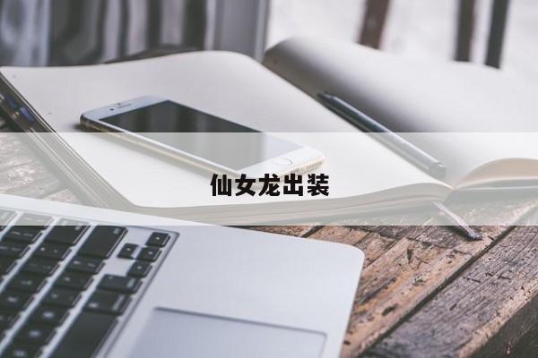 仙女龙出装